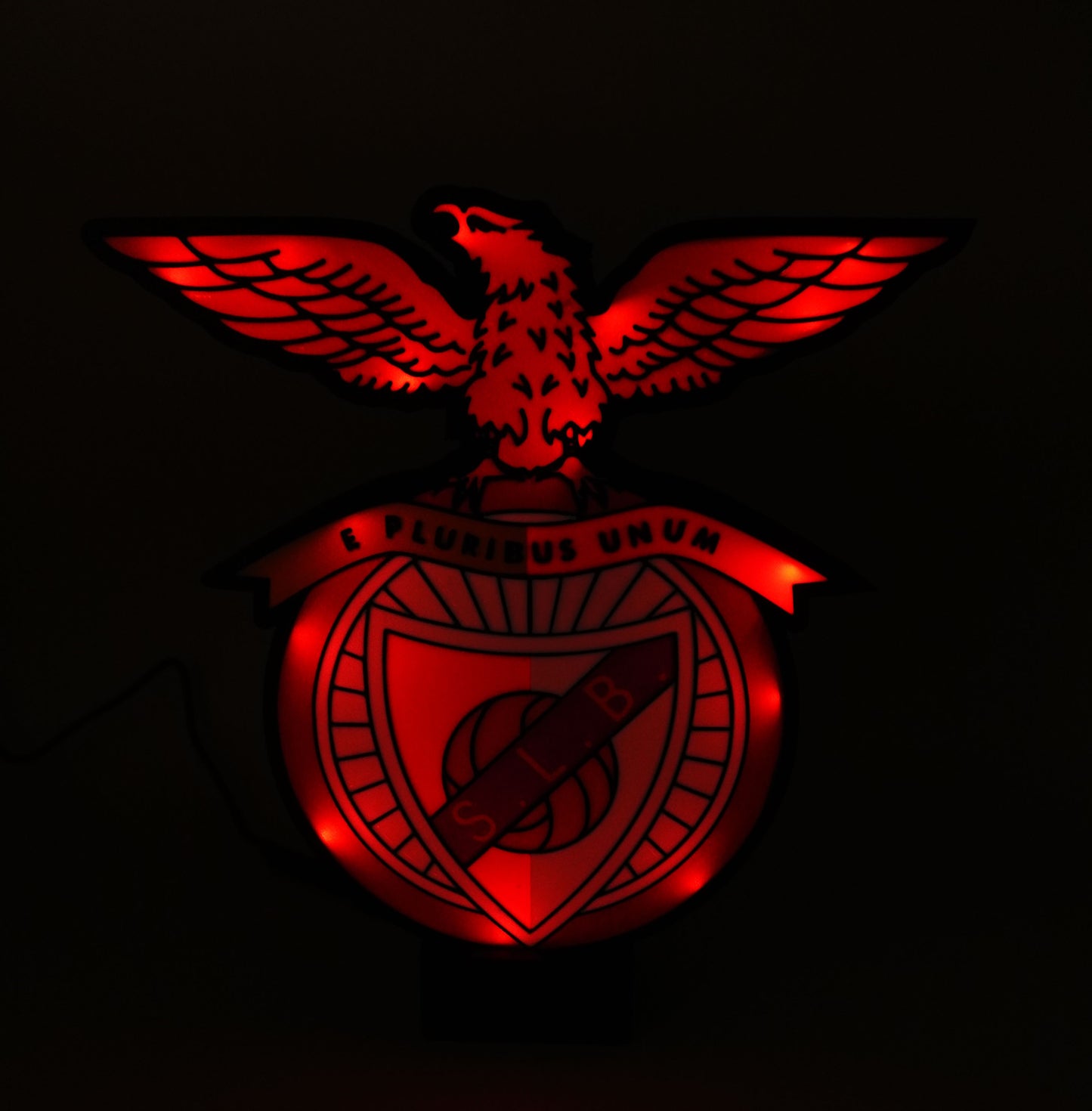 Luminaire SLB