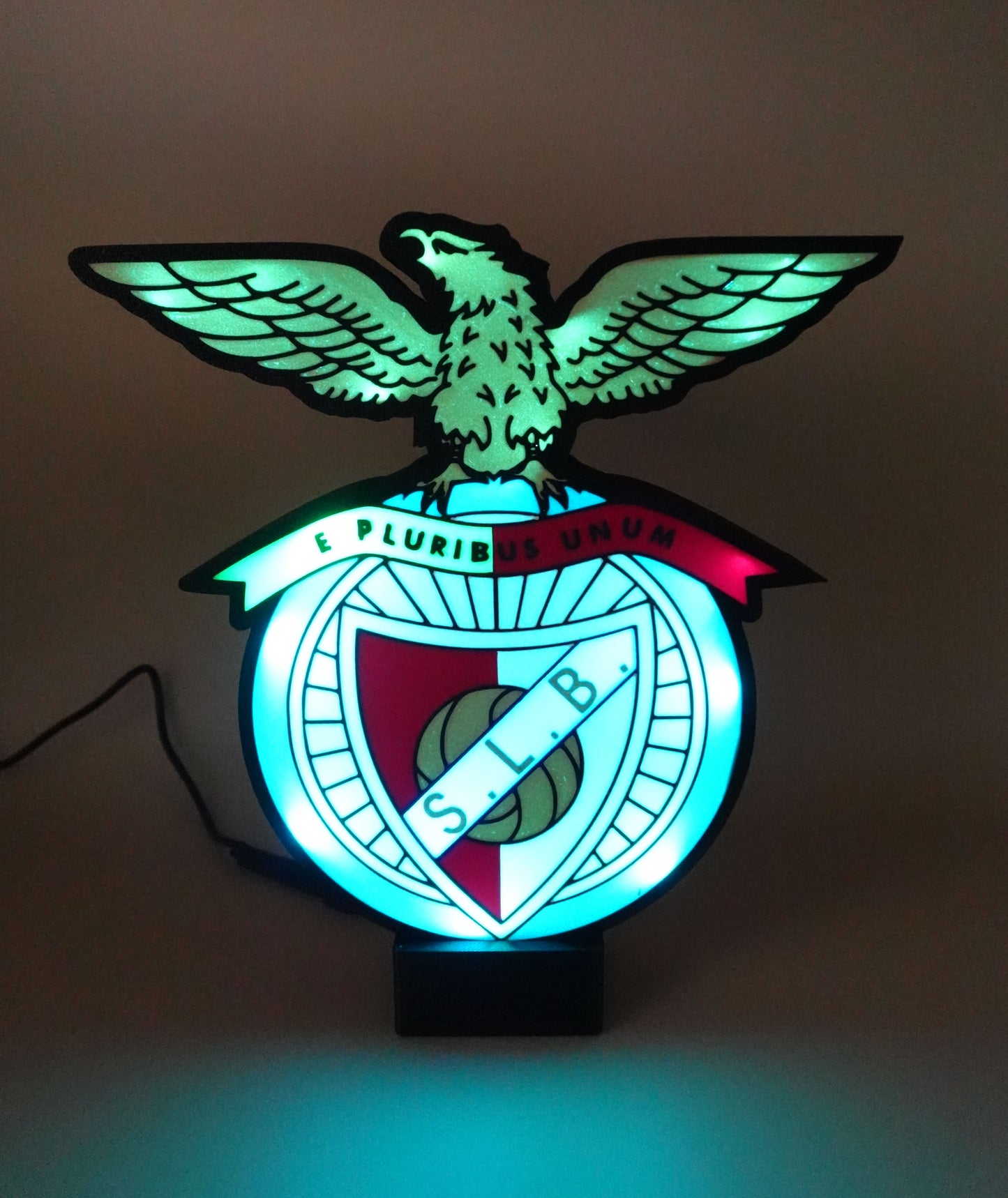 Luminaire SLB