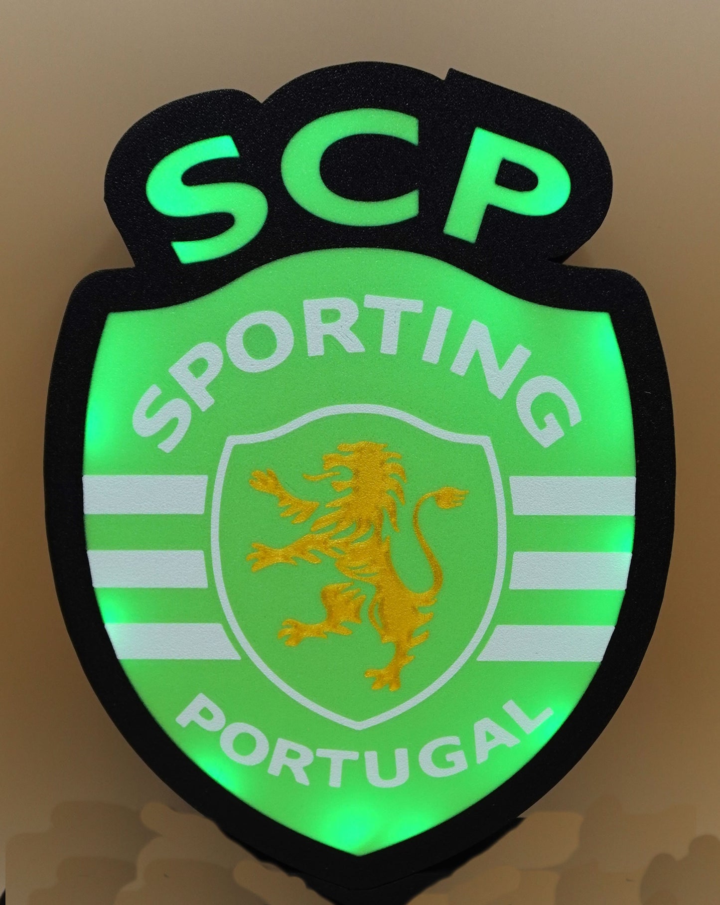 Luminaire Sporting