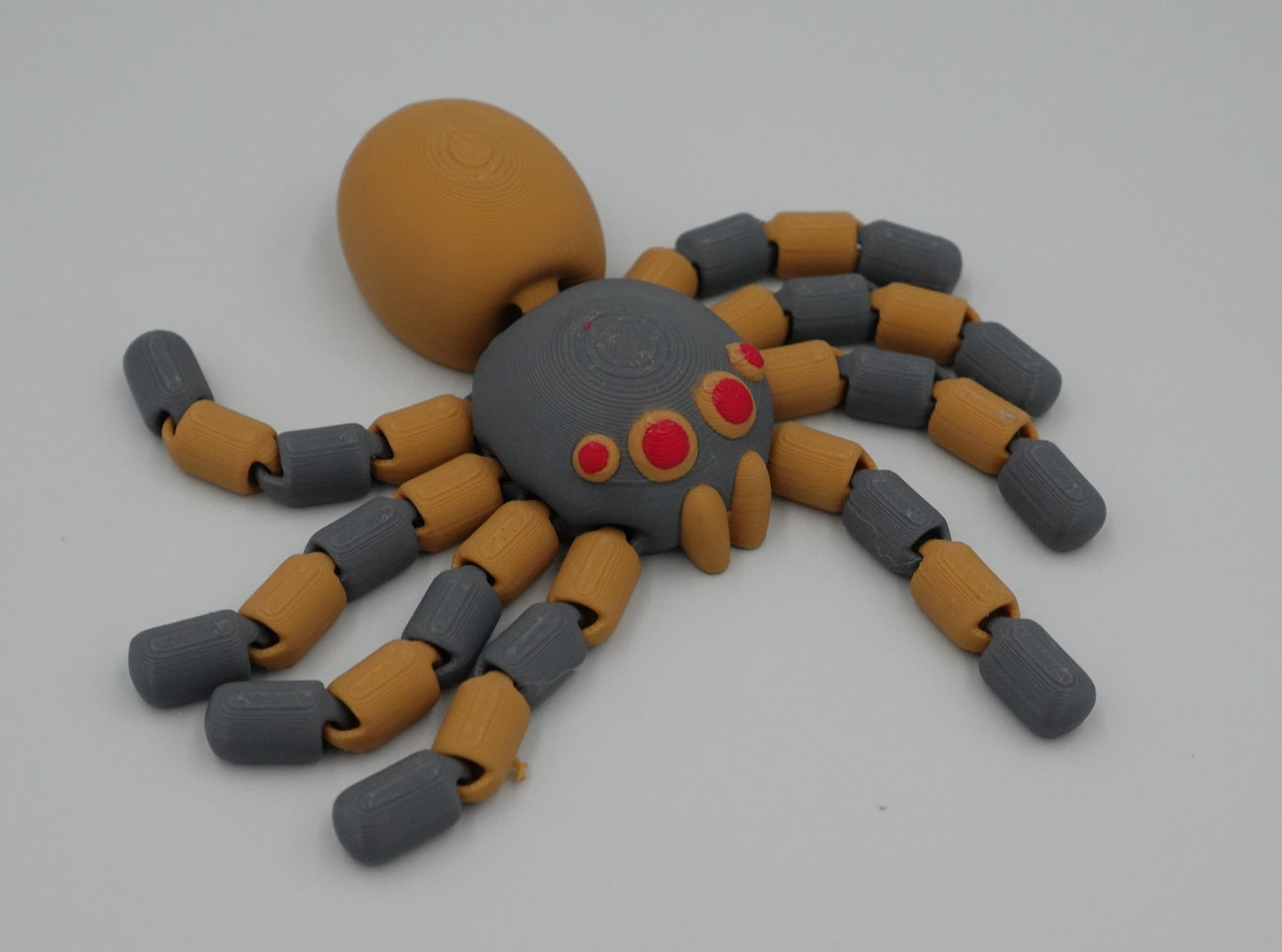 Araignées Articlée