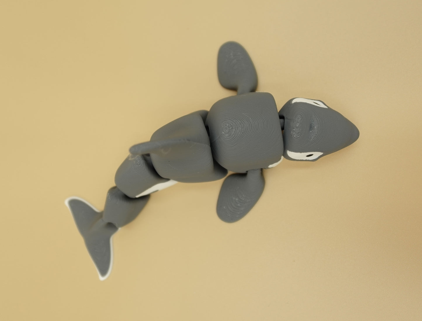 Orca