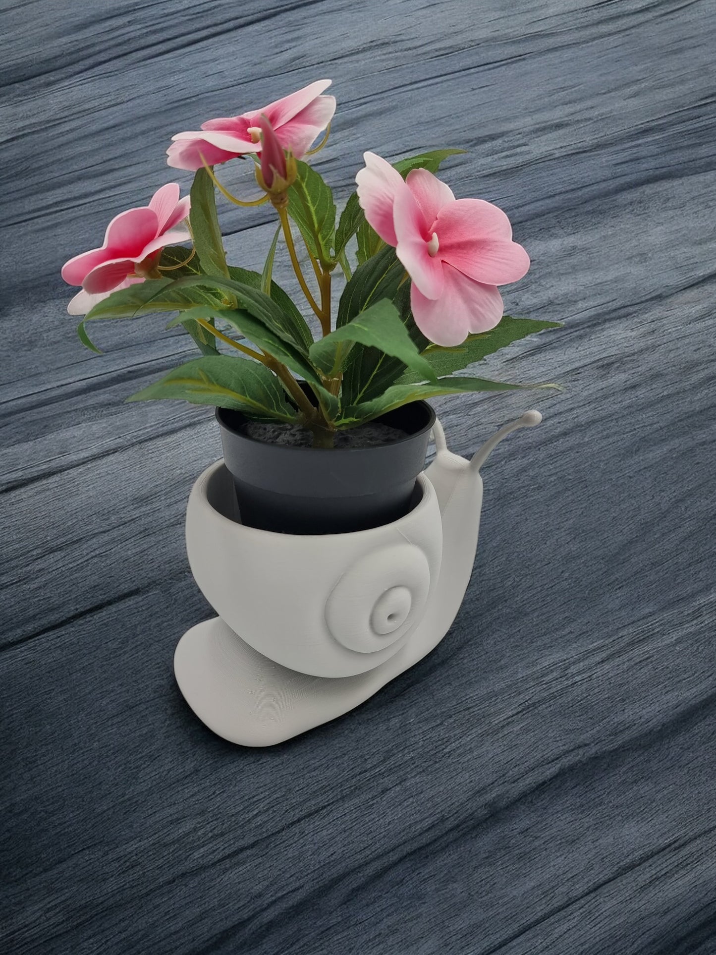Vase Escargot