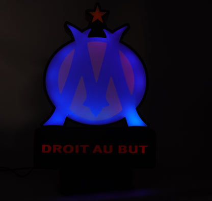 Luminaire OM