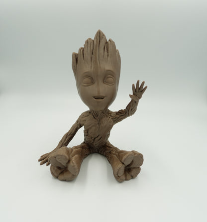 Groot Assis main