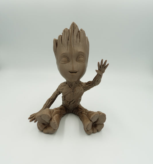 Groot Assis main