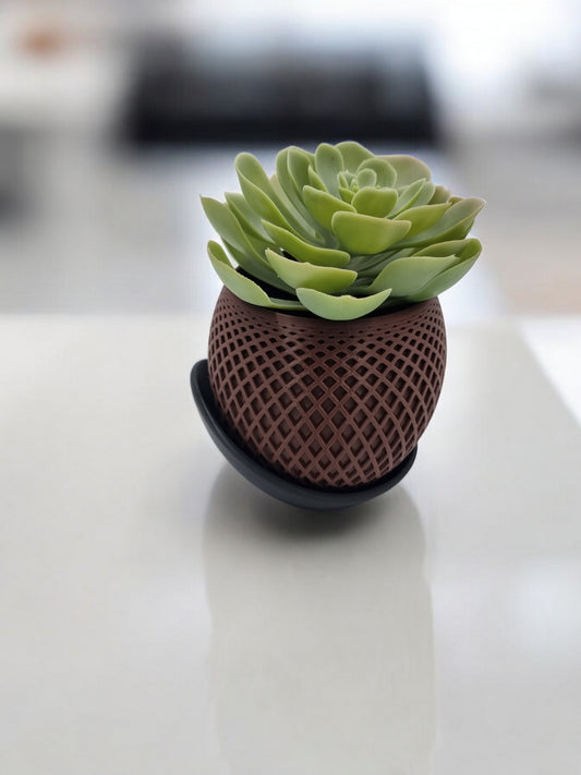 Vase Choco + Base